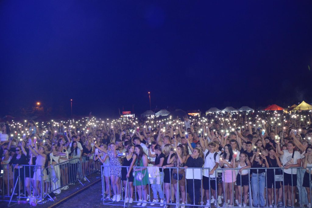 Tłum ludzi obserwujący koncert.