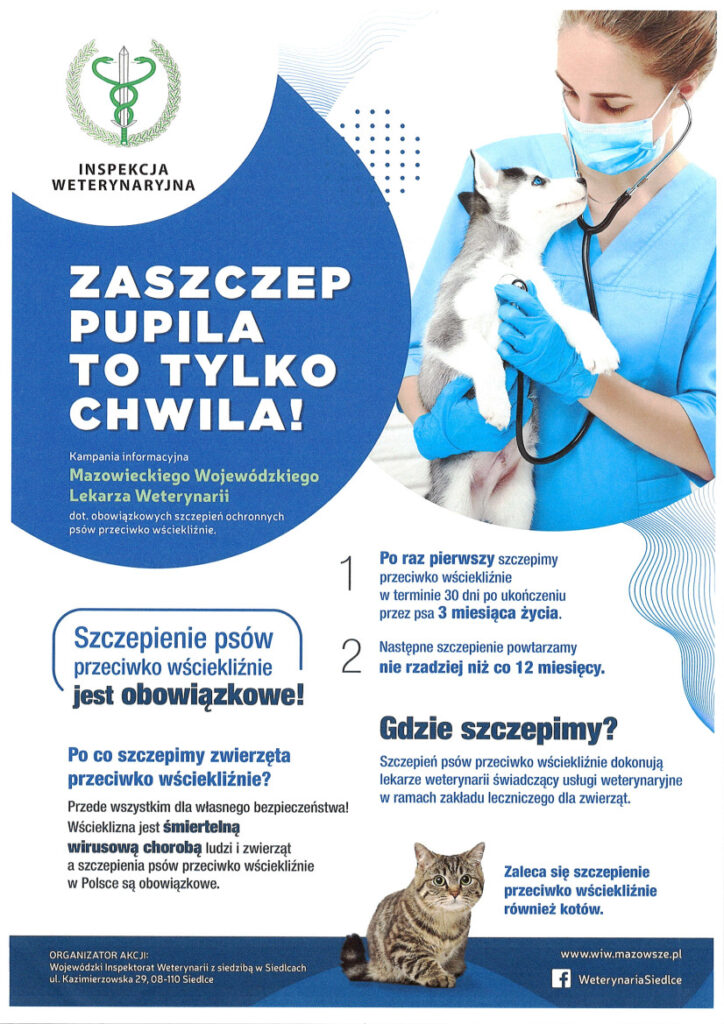 Plakat informacyjny Mazowieckiego Wojewódzkiego Lekarza Weterynarii dotyczący obowiązkowych szczepień psów przeciwko wściekliźnie. Główny przekaz plakatu brzmi: „Zaszczep pupila – to tylko chwila”.
Plakat informuje, że szczepienie psów przeciwko wściekliźnie jest obowiązkowe, przede wszystkim dla bezpieczeństwa ludzi i zwierząt. Wścieklizna jest śmiertelną chorobą wirusową ludzi i zwierząt. Na plakacie zaznaczono również, że w Polsce szczepienie psów przeciwko wściekliźnie jest obowiązkowe, a szczepienie przeciwko wściekliźnie zaleca się również kotom.
Pierwsze szczepienie psa przeciwko wściekliźnie należy wykonać w terminie 30 dni po ukończeniu przez psa 3. miesiąca życia. Kolejne szczepienia należy powtarzać nie rzadziej niż co 12 miesięcy.
Szczepienia psów przeciwko wściekliźnie wykonują lekarze weterynarii świadczący usługi weterynaryjne w ramach zakładu leczniczego dla zwierząt.
Plakat jest elementem kampanii informacyjnej Mazowieckiego Wojewódzkiego Lekarza Weterynarii dotyczącej obowiązkowych szczepień ochronnych psów przeciwko wściekliźnie.
Organizatorem akcji jest Wojewódzki Inspektorat Weterynarii z siedzibą w Siedlcach, ul. Kazimierzowska 29, 08-110 Siedlce. Na plakacie podano również adres strony internetowej: www.mazowsze.pl oraz oznaczenie „Weterynaria Siedlce”. 