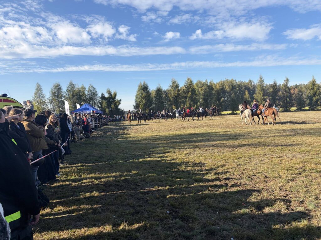 Na zdjęciu widać pokaz konny, podczas XIV Hubertusa w Gulinie. Na środku pola porusza się grupa jeźdźców na koniach, a po prawej stronie znajduje się kilka osób na koniach w różnych umaszczeniach, m.in. białych i brązowych. Po lewej stronie zgromadzili się liczni widzowie, którzy obserwują wydarzenie zza taśmy zabezpieczającej. W tle widać namioty organizatorów oraz pas wysokich drzew, których liście przybierają jesienne barwy. Nad całą okolicą rozciąga się błękitne niebo z licznymi, białymi chmurami. Promienie słońca oświetlają pole, tworząc długie cienie na trawie. Zdjęcie oddaje atmosferę plenerowego wydarzenia jeździeckiego, pełnego ruchu, zainteresowania i kontaktu z naturą.
